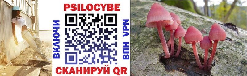 даркнет сайт  Жигулёвск  Галлюциногенные грибы Psilocybe 